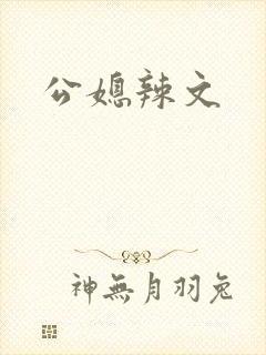 公媳辣文