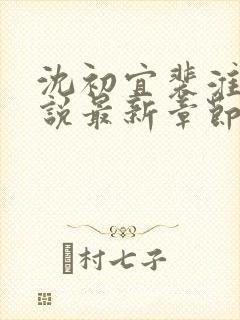 沈初宜裴淮聿小说最新章节免费阅读