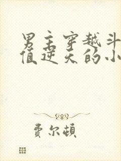 男主穿越斗罗颜值逆天的小说