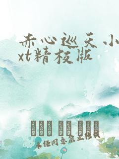 赤心巡天小说txt精校版