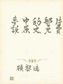 梦中的那片海小说原文免费阅读