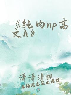 《纯肉np高辣文h》