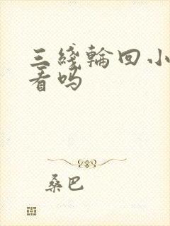 三线轮回小说好看吗