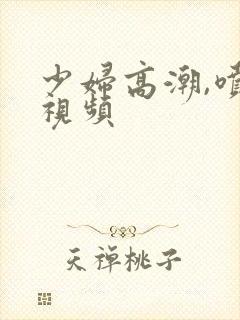 少妇高潮,喷水视频