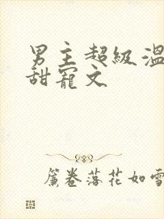 男主超级温柔的甜宠文