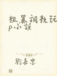 粗暴调教玩弄np小说