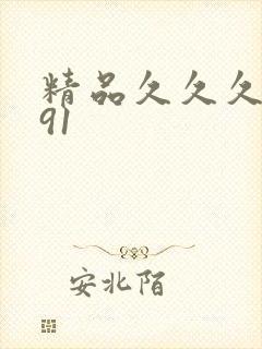 精品久久久久久91