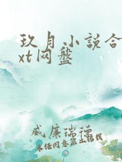 玖月小说合集txt网盘