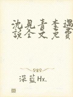 沈见青李遇泽小说全文免费阅读