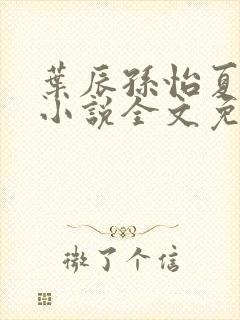 叶辰孙怡夏若雪小说全文免费阅读