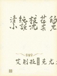 清纯校花的日常小说沈柔免费阅读