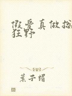 假爱真做总裁太狂野