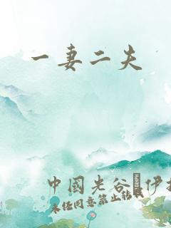 一妻二夫
