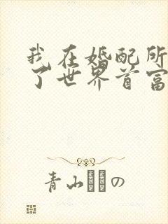 我在婚配所摇到了世界首富小说