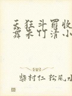 天狂斗罗收服小舞朱竹清小说