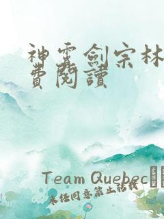 神霄剑宗林枫免费阅读