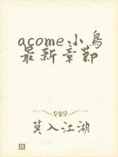acome小鸟最新章节