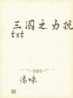 三国之力挽狂澜txt