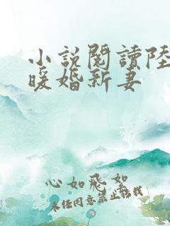 小说阅读陆少的暖婚新妻