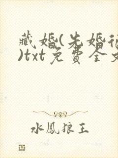 藏婚(先婚后爱)txt免费全文阅读