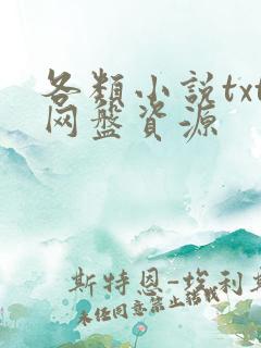各类小说txt网盘资源