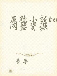 原耽小说txt网盘资源