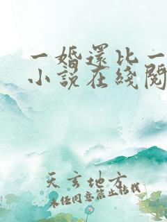一婚还比一婚高小说在线阅读
