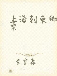 上海到东乡火车票