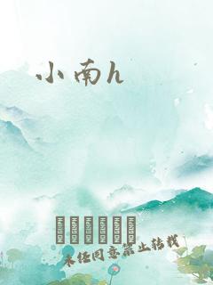 小南h