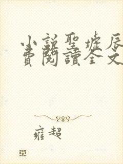 小说圣墟辰东免费阅读全文无窗口