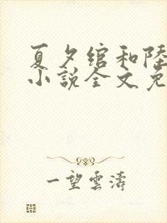 夏夕绾和陆寒霆小说全文免费阅读