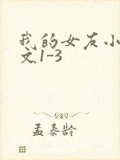 我的女友小洁全文1-3