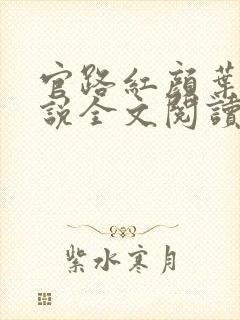 官路红颜叶鸣小说全文阅读