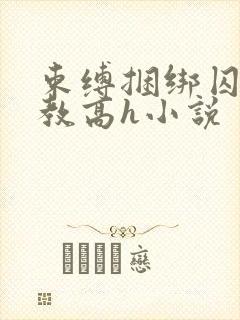 束缚捆绑囚禁调教高h小说