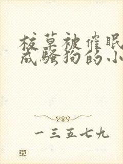 校草被催眠洗脑成骚狗的小说