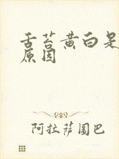 舌苔黄白是什么原因