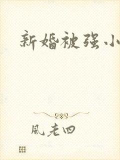 新婚被强小说