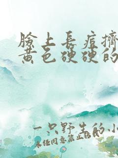 脸上长痘挤出来黄色硬硬的