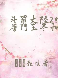 斗罗大陆2绝世唐门王冬和霍雨浩