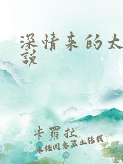 深情来的太迟小说
