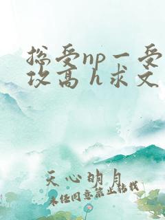 总受np一受多攻高 h求文