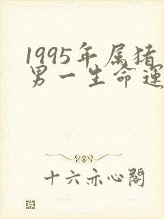 1995年属猪男一生命运怎么样