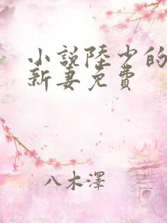 小说陆少的暖婚新妻免费