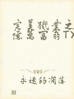 完美职业之我是亿万富翁TXT