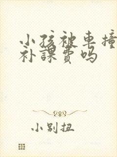 小孩被车撞应赔补课费吗