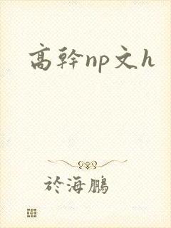 高干np文h
