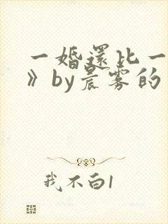 一婚还比一婚高》by晨雾的光