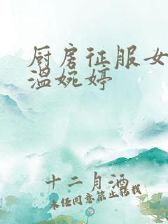 厨房征服女市长温婉婷