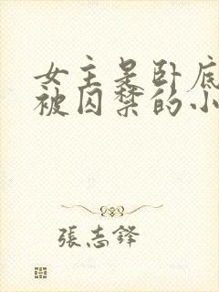 女主是卧底失败被囚禁的小说