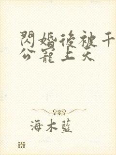 闪婚后被千亿老公宠上天